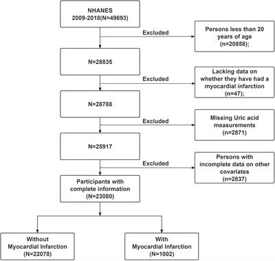 Uric acid is associated with increased risk of myocardial infarction: results from NHANES 2009-2018 and bidirectional two-sample Mendelian randomization analysis